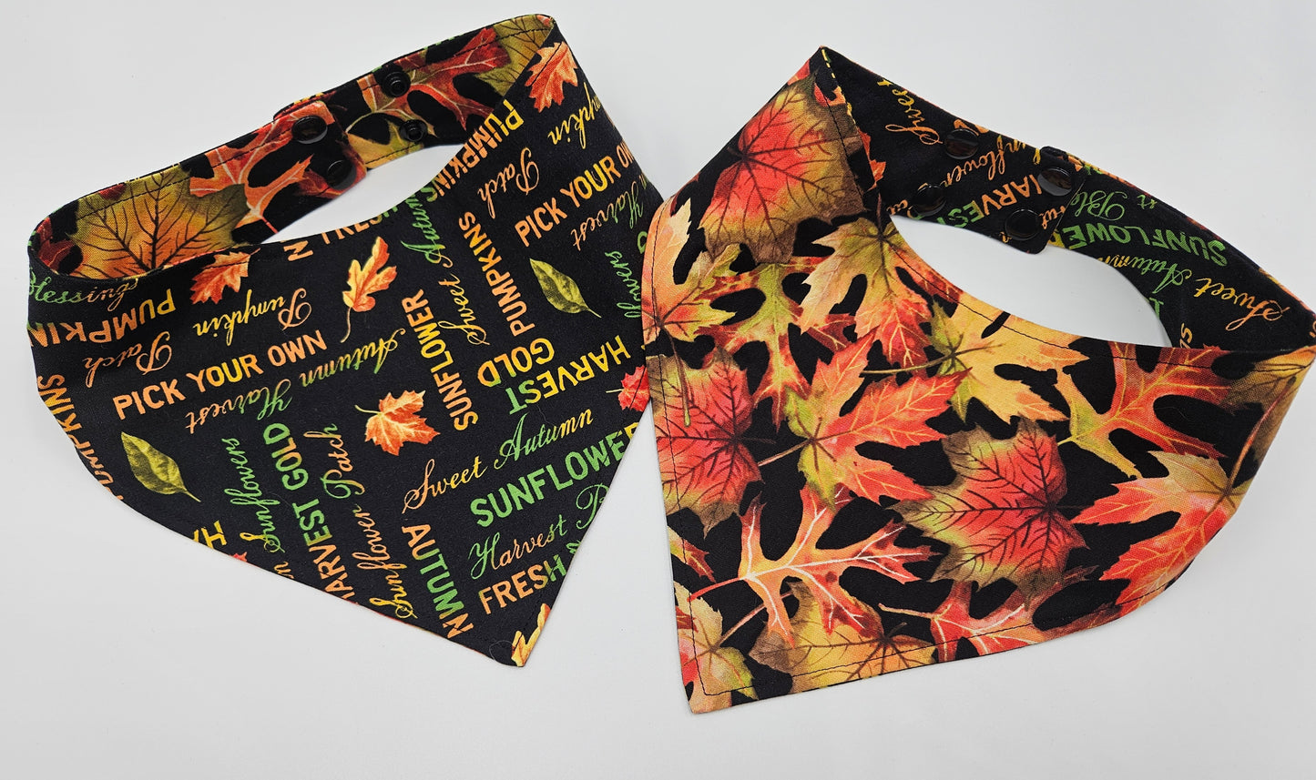 π Autumn Harvest Reversible Snap-On Dog Bandana β Limited Edition Style