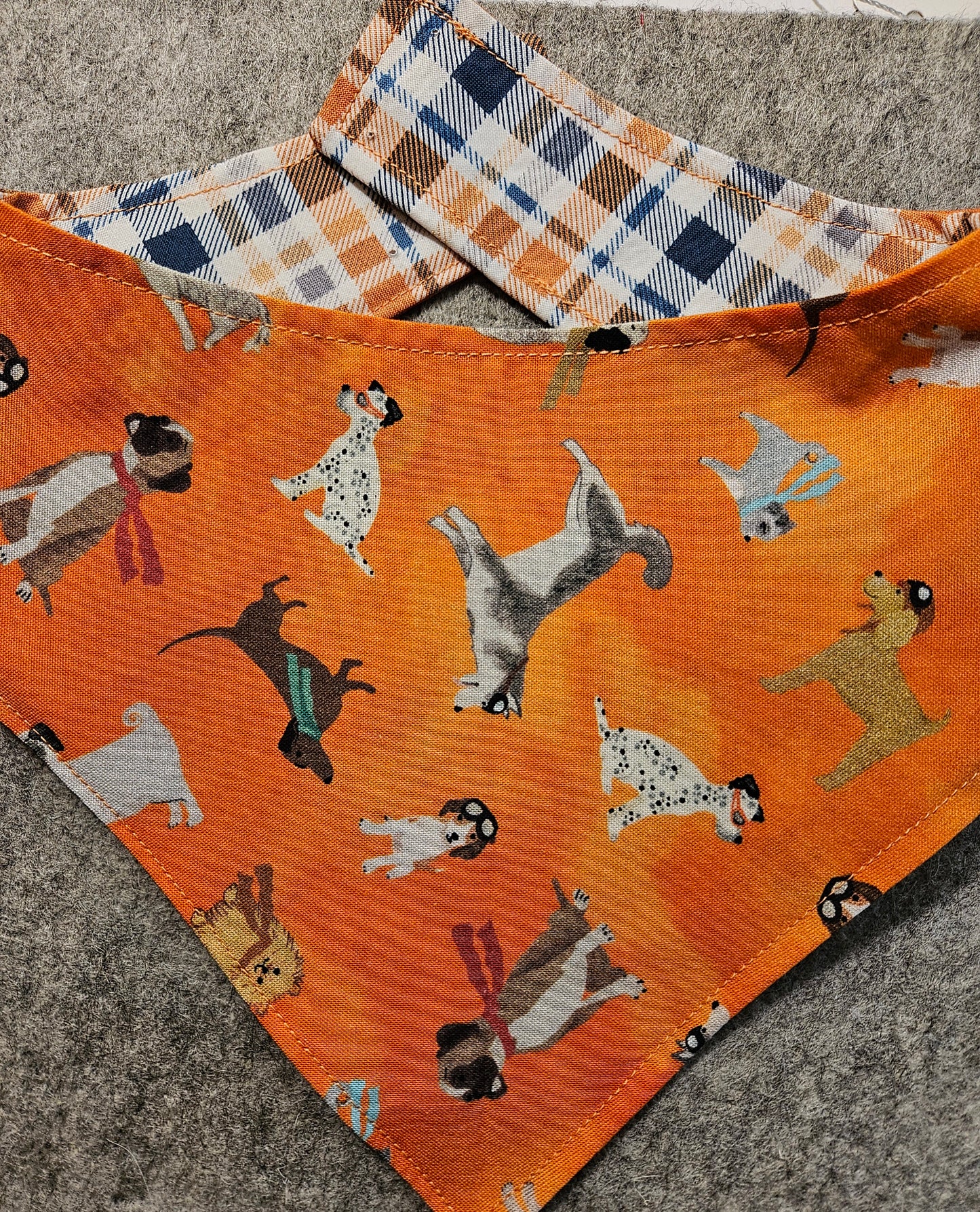 Take Flight Reversible Snap-On Dog Bandana (Glow-in-the-Dark) – Limited Edition Style