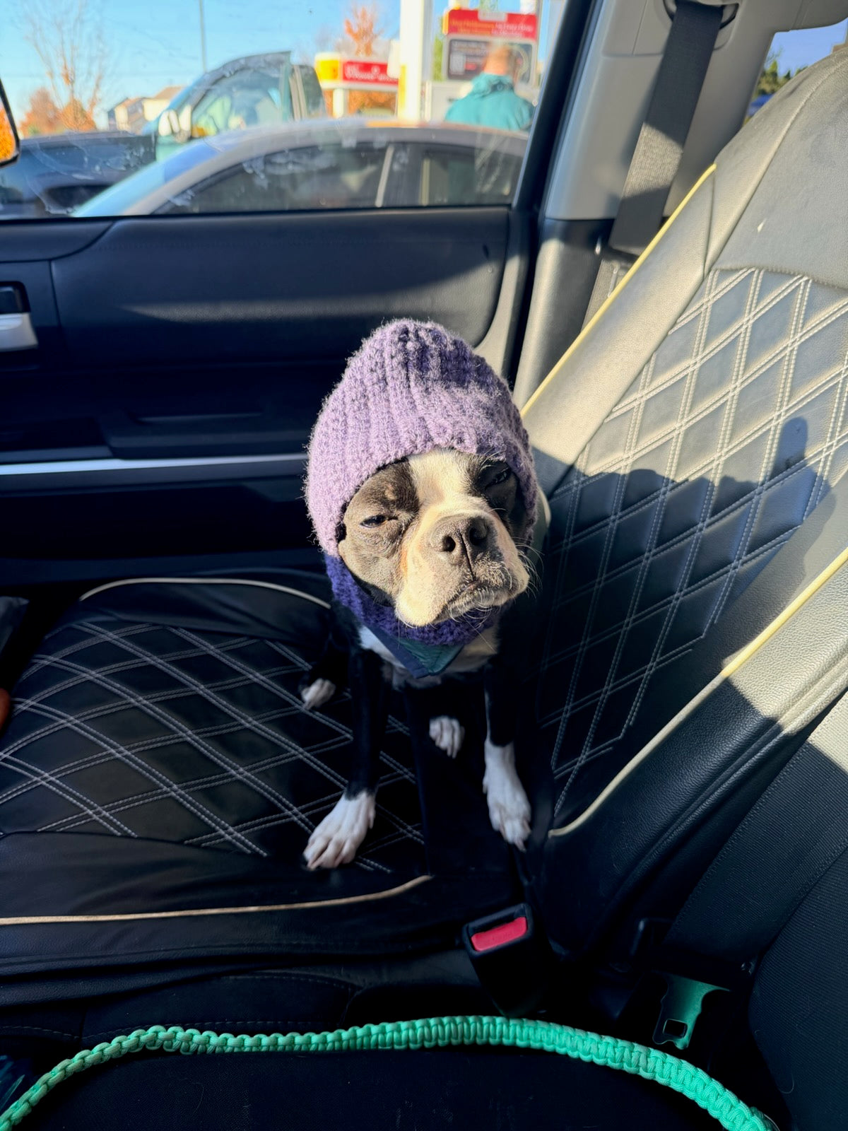 Cozy Crochet Dog Snood – Winter Ear, Neck & Head Warmer