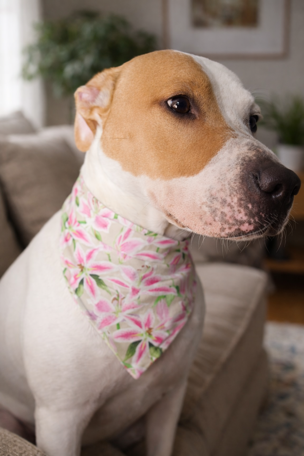 Derby Lilies – Reversible Snap-On Dog Bandana