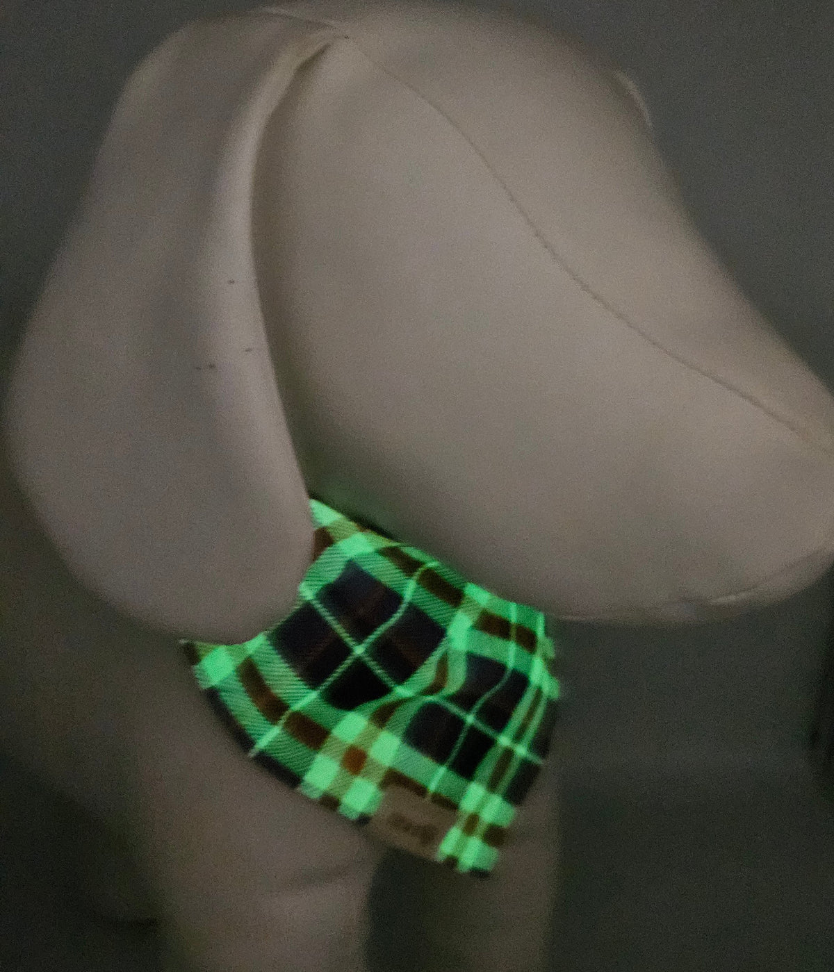 Bewitched Flight - Reversible Snap-On Dog Bandana