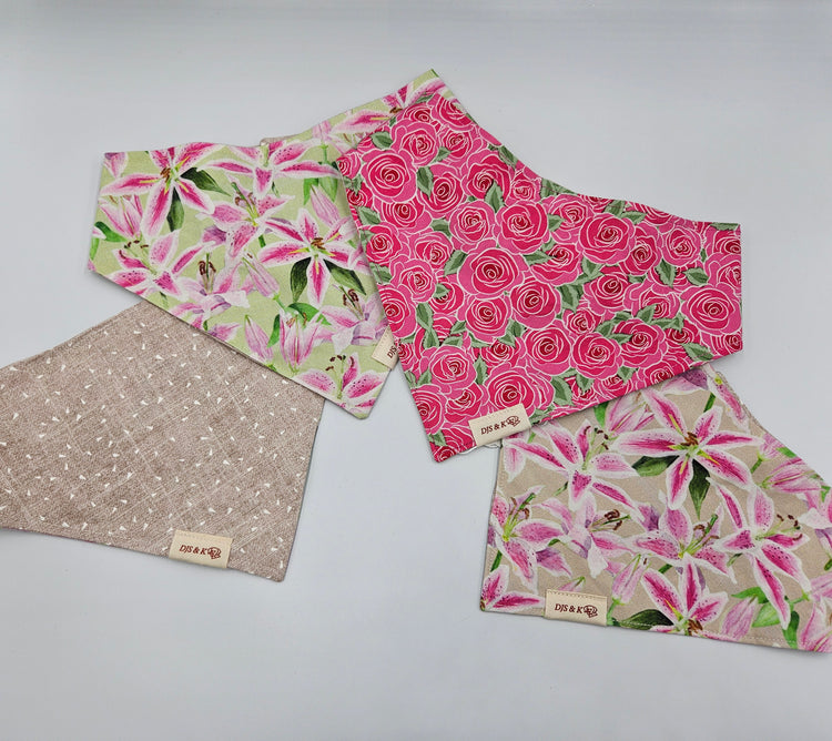 Derby Collection