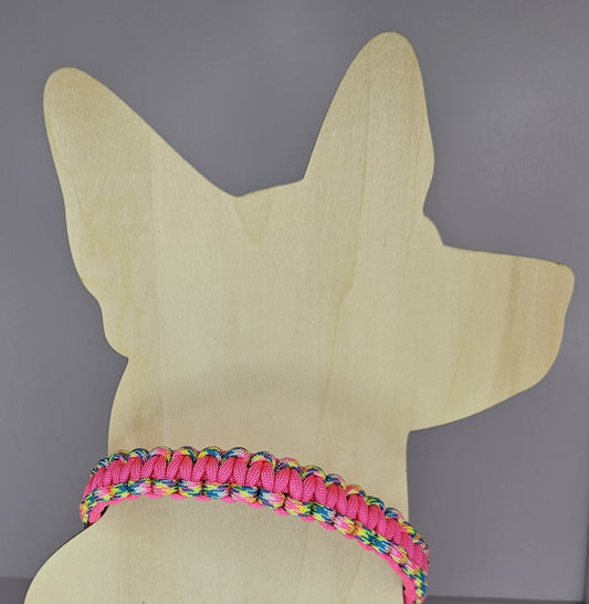 Cobra Weave Paracord Dog Collar - 13 Inch Limited Edition