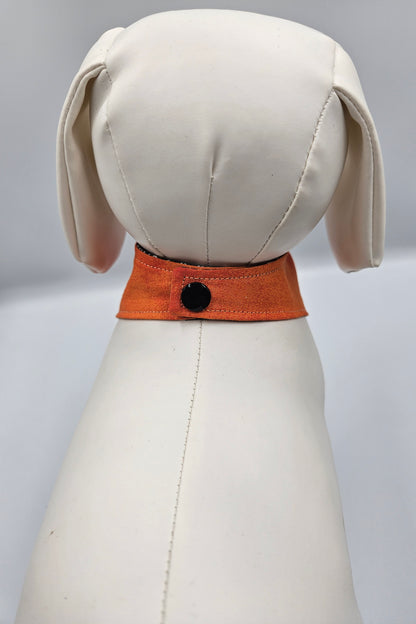 🕷️ Spooky Spiderweb Reversible Snap-On Dog Bandana – Limited Edition Halloween Style 🎃