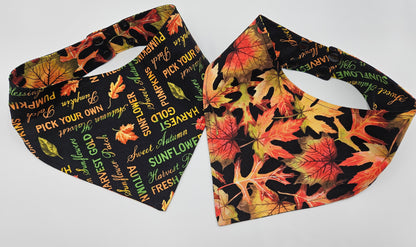🍂 Autumn Harvest Reversible Snap-On Dog Bandana – Limited Edition Style