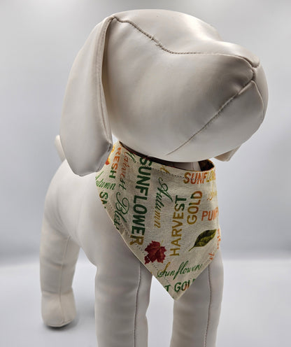 🍂 Autumn Harvest Reversible Snap-On Dog Bandana – Limited Edition Style