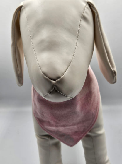 Easter Gathering – Reversible Snap-On Dog Bandana