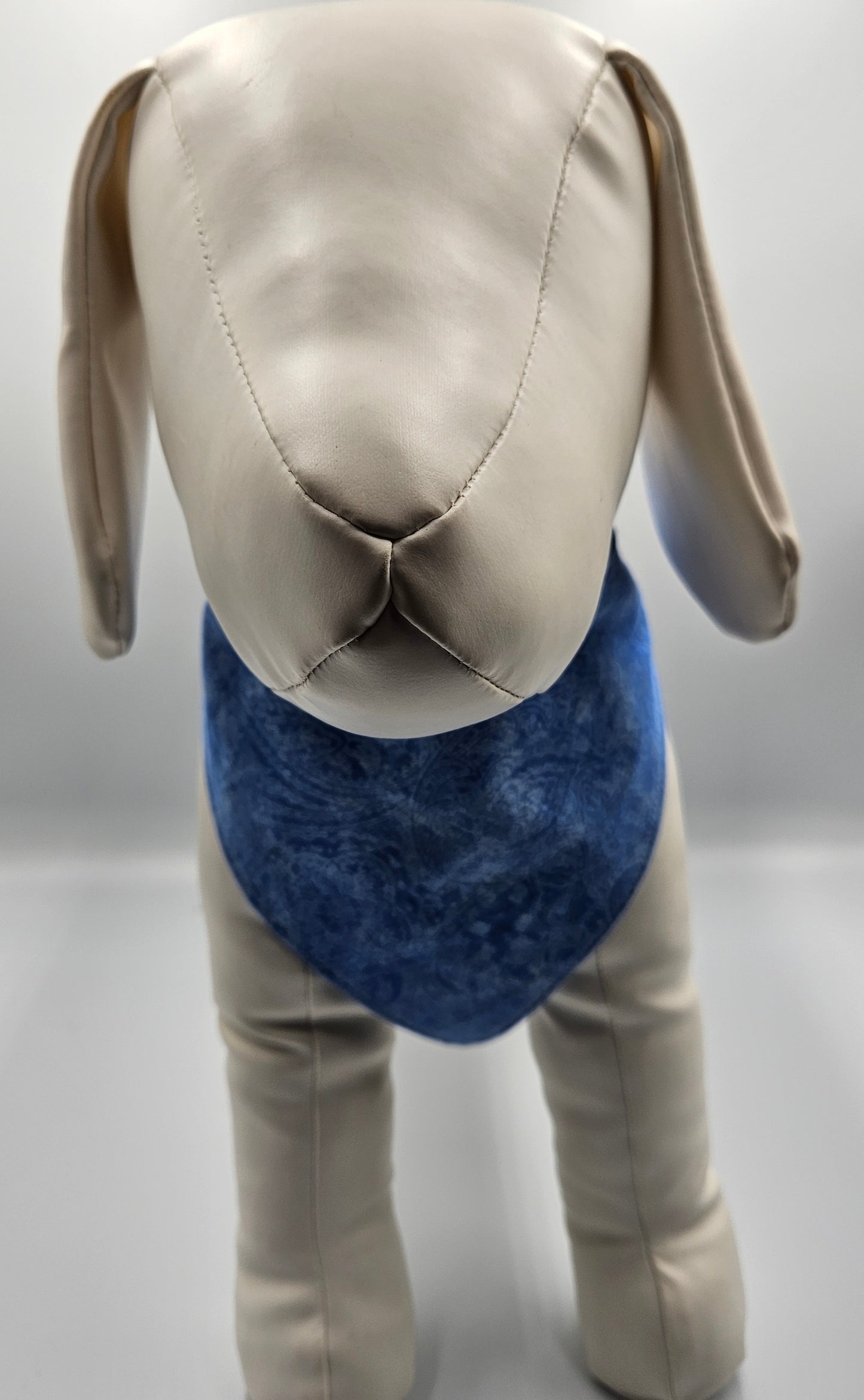 Blue & Buttercup – Reversible Snap-On Dog Bandana