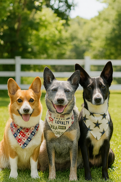 Stars & Stripes Valor – Reversible Snap-On Dog Bandana