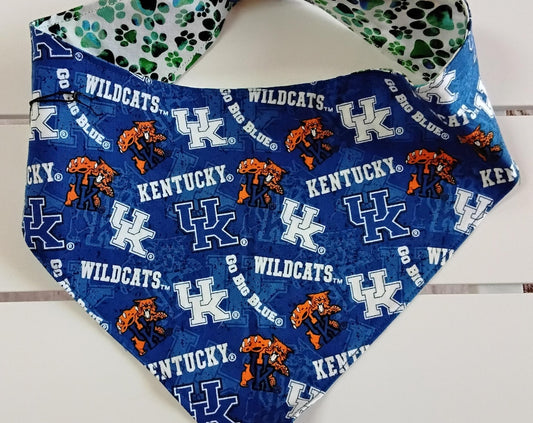 Go Big Blue with Blue and Green Paws Snap-on Dog Bandana