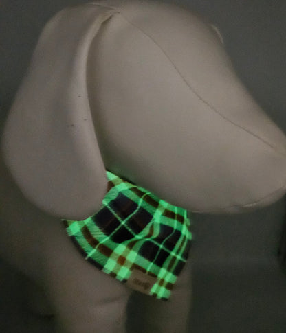 Bewitched Flight - Reversible Snap-On Dog Bandana