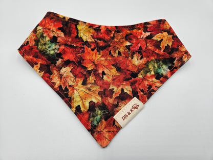 Changing Seasons – Reversible Snap-On Dog Bandana