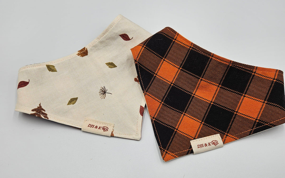 October Stroll – Reversible Snap-On Dog Bandana