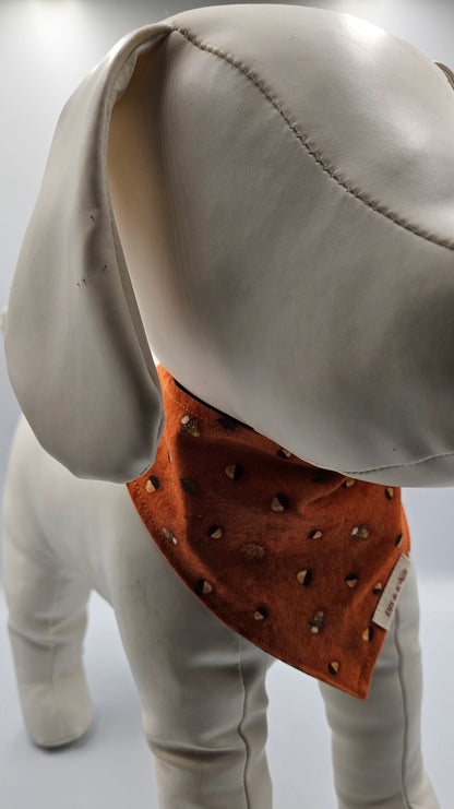 Acorn Trail - Reversible Snap-On Dog Bandana