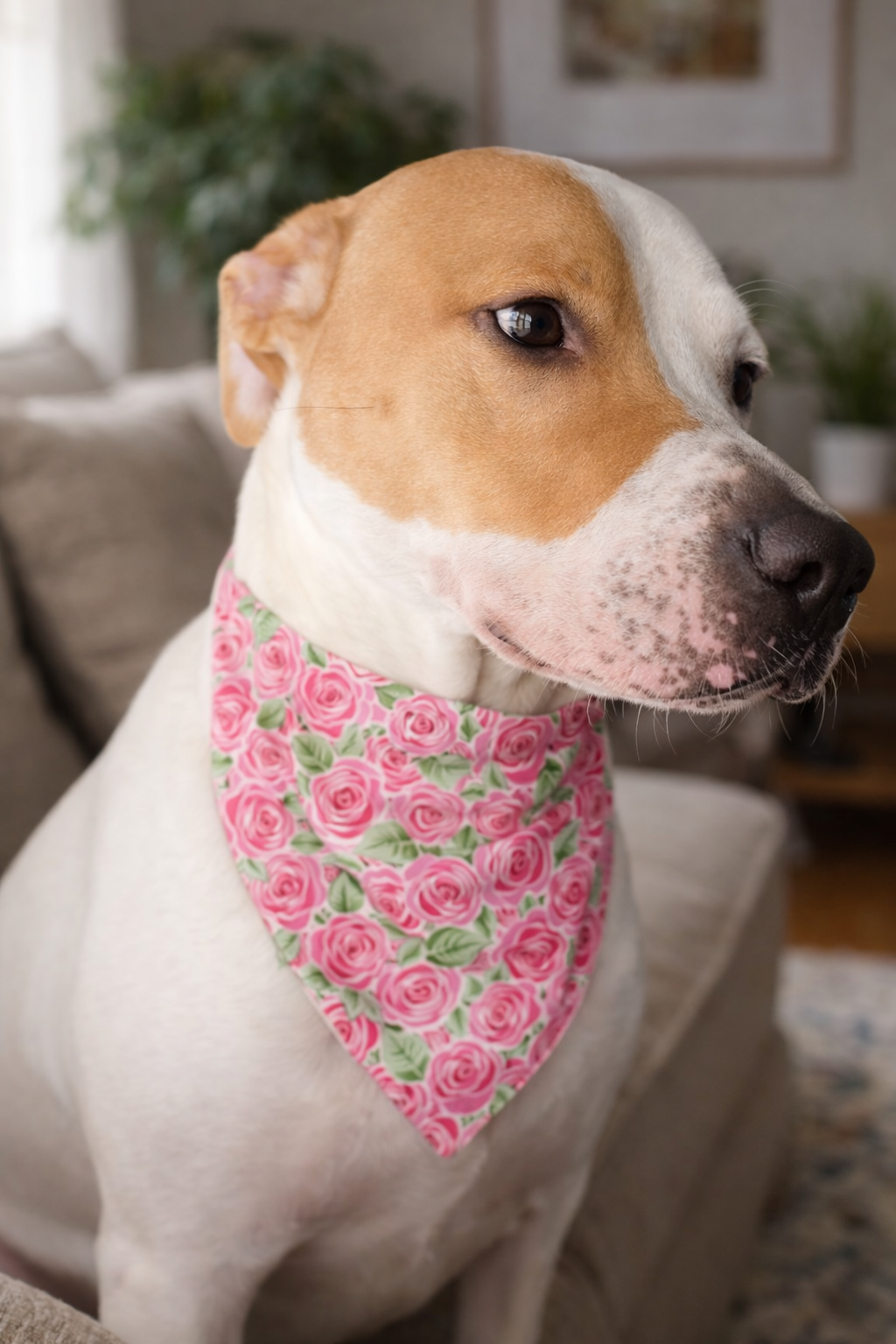 Derby Roses – Reversible Snap-On Dog Bandana