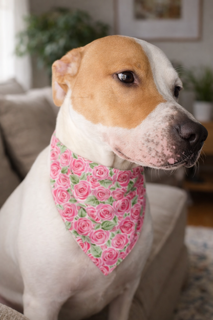 Derby Roses – Reversible Snap-On Dog Bandana